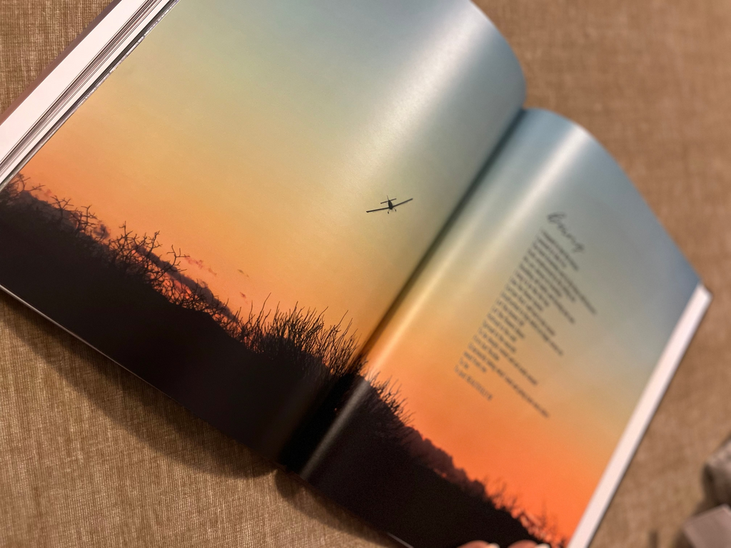 Transient Balance: Poetic Prose by LeMona Artrish (Hardcover)