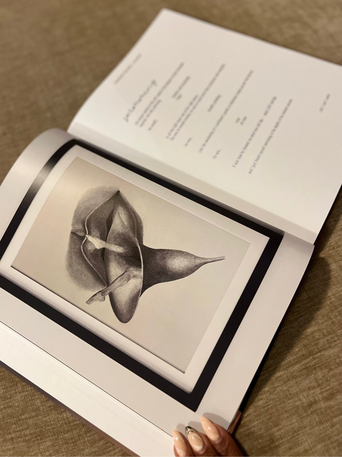 Transient Balance: Poetic Prose by LeMona Artrish (Hardcover)